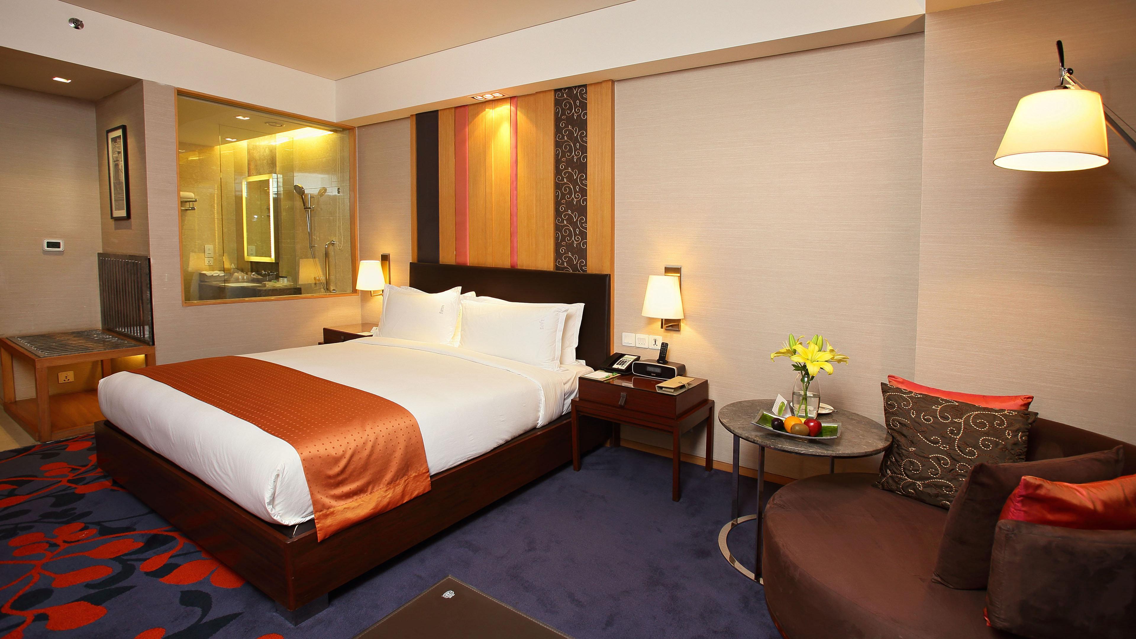 فندق هوليداي إن نيودلهي مايور فيهار نويدا المظهر الخارجي الصورة A room at the hotel