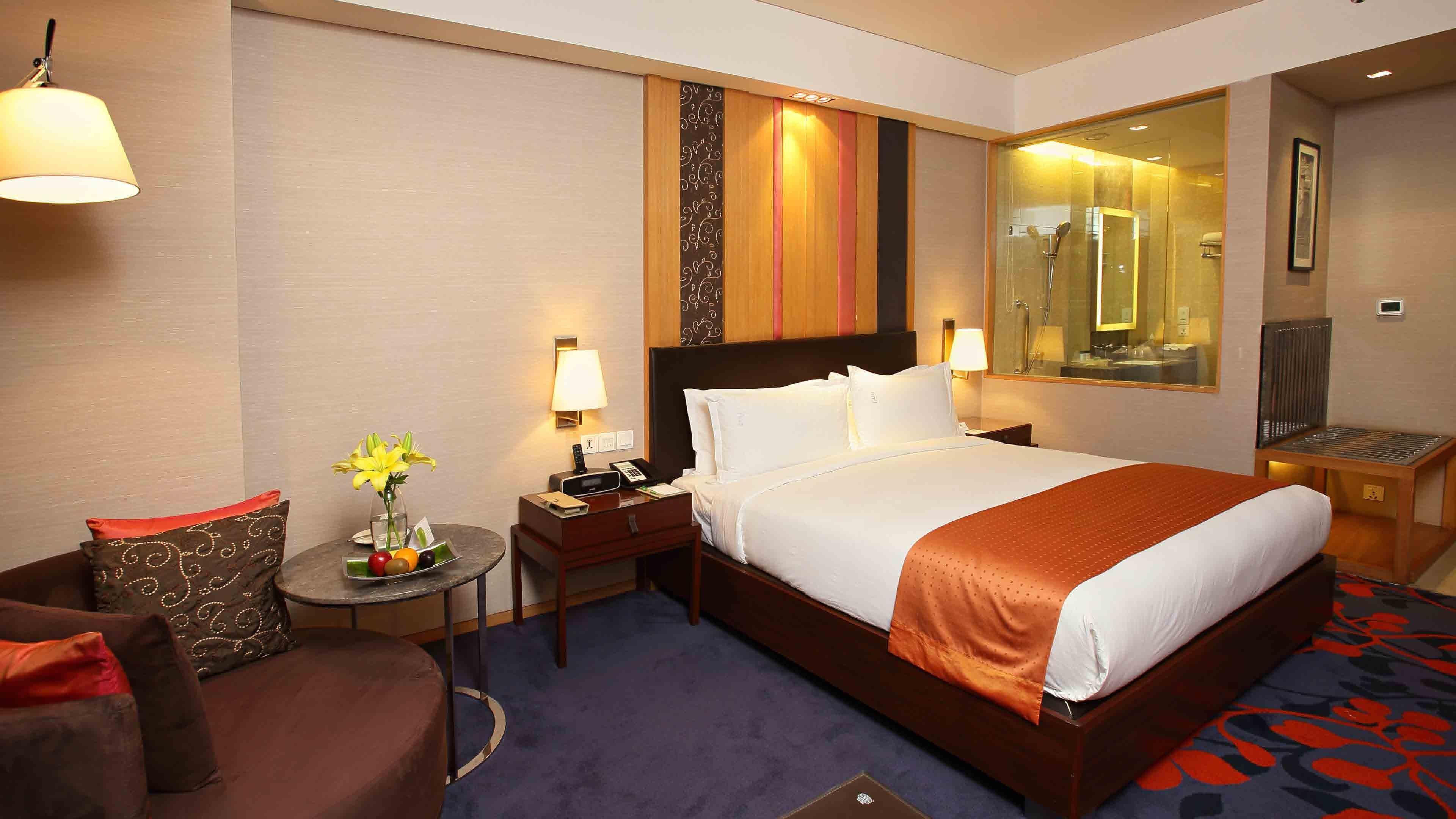 فندق هوليداي إن نيودلهي مايور فيهار نويدا المظهر الخارجي الصورة A room at the hotel